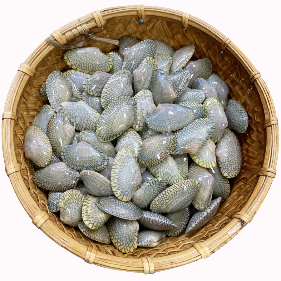 chip_2559c0d025a5441d88f43eafcd52b819